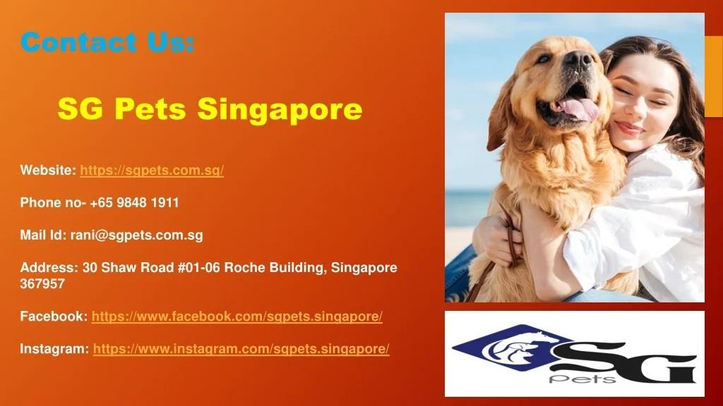 PPT One Of The Most Popular Online Stores For Pet Accessories In