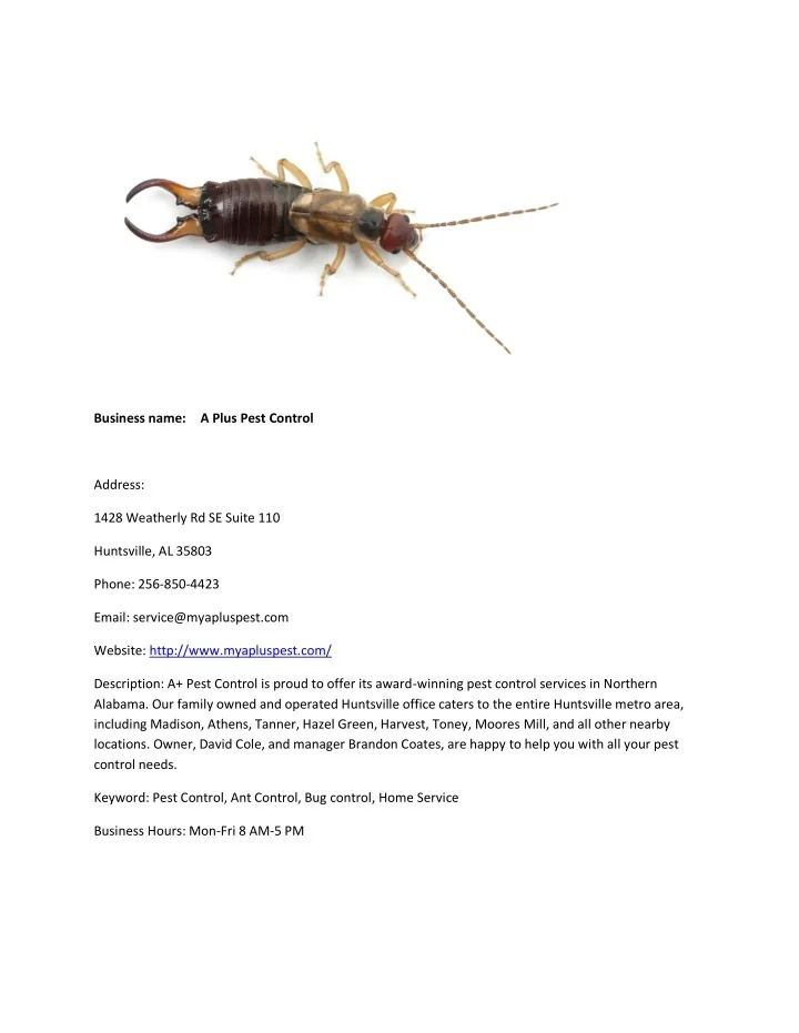 PPT A Plus Pest Control PowerPoint Presentation Free Download ID 