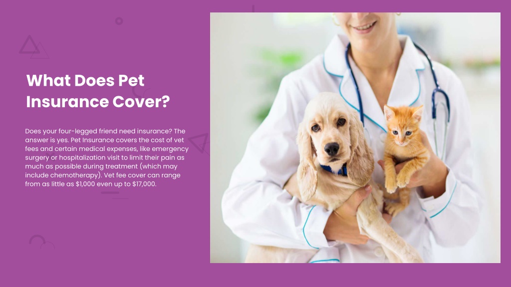 What Does Pet Insurance Do