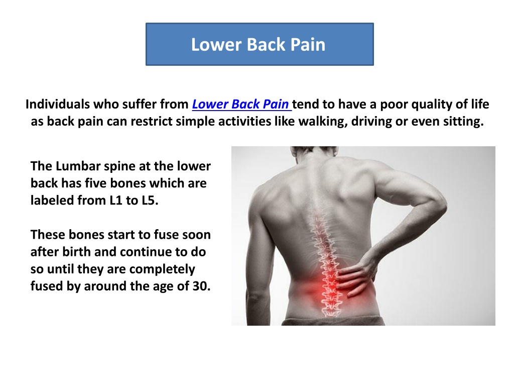 PPT - Lower back pain PowerPoint Presentation, free download - ID:10965147