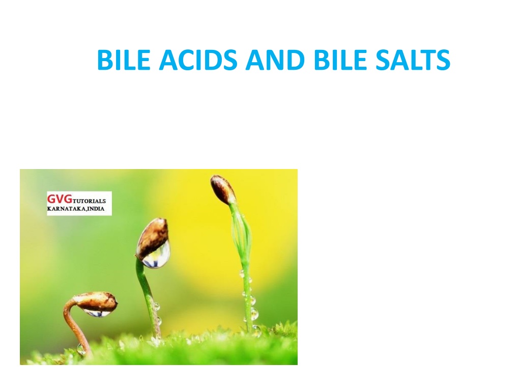 Ppt Bile Acids And Bile Salts Powerpoint Presentation Free Download Id10966163 5115