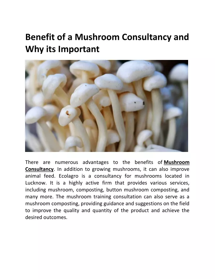 PPT - Benefit of a Mushroom Consultancy PowerPoint Presentation, free ...