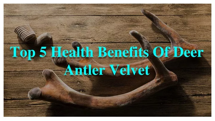 Top 5 Health Benefits Of Deer Antler Velvet N 