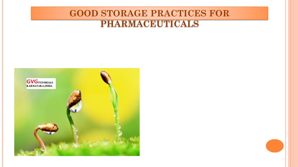 PPT Good Storage Practices PowerPoint Presentation Free Download   Good Storage Practices For Pharmaceuticals L 