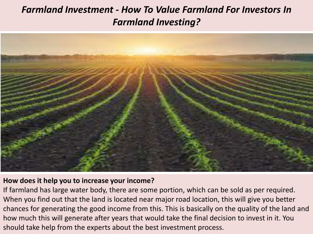 How To Invest In Farmland