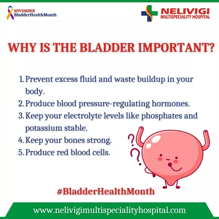 Ppt Bladder Importance Best Urology Hospitals In Bangalore