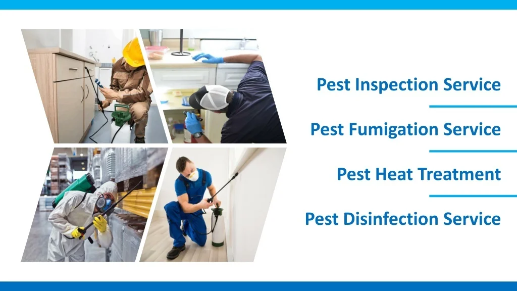 PPT Best Pest Control Service in Campbelltown PowerPoint Presentation