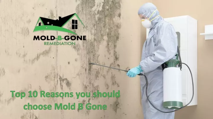 PPT - Top 10 Reasons You Should Choose Mold B Gone PowerPoint ...