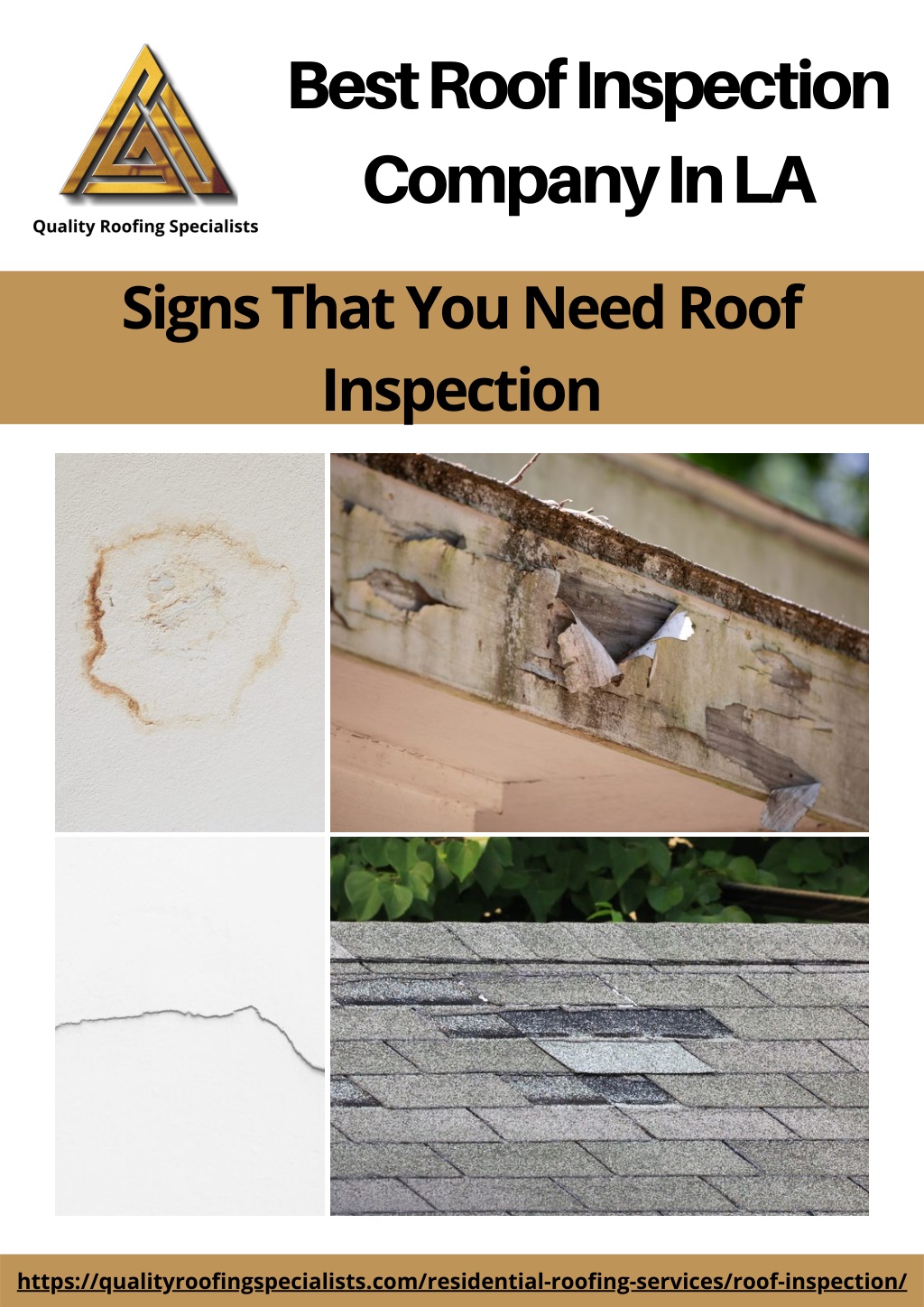 best-roof-inspection-company-in-la-l.jpg