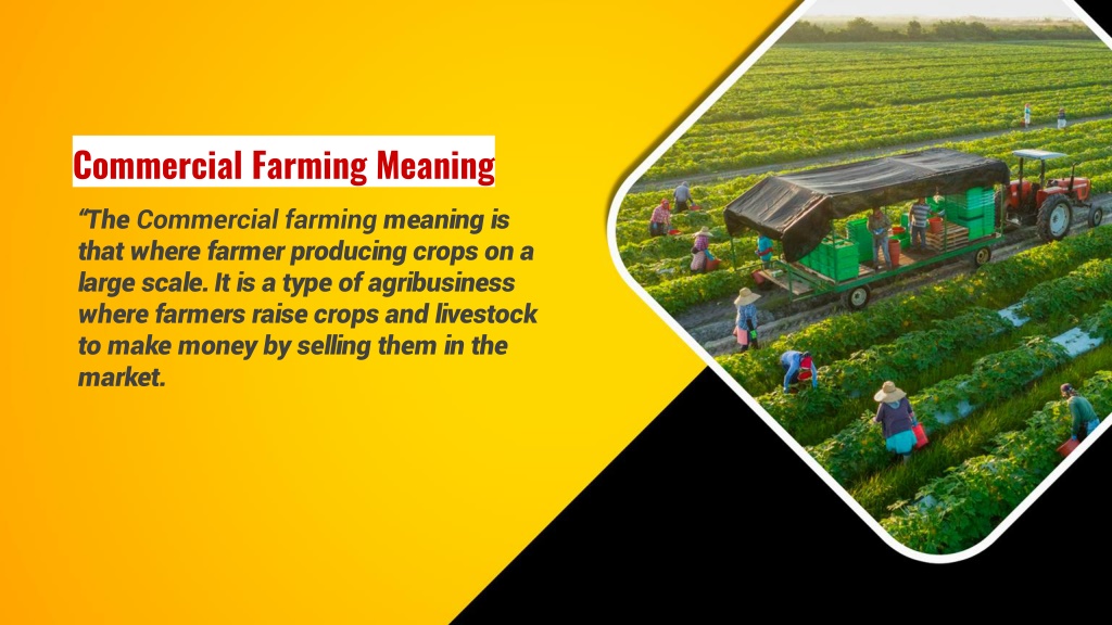 PPT What Is Commercial Farming Its Characteristics Advantage 