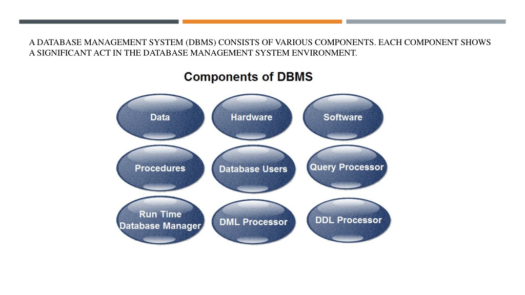 PPT - COMPONENTS OF DBMS PowerPoint Presentation, Free Download - ID ...