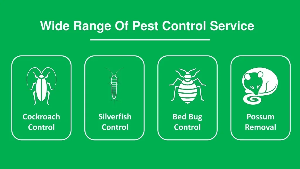 PPT - Expert Pest Controllers At Your Service In Redbank Plains ...