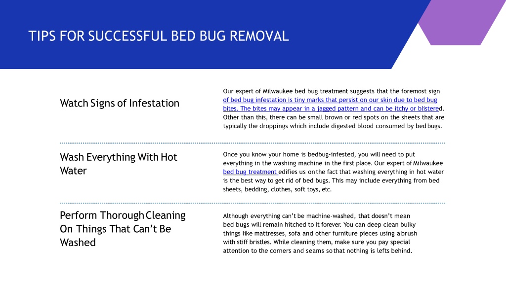 PPT - Tips For Successful Bed Bug Elimination PowerPoint Presentation ...