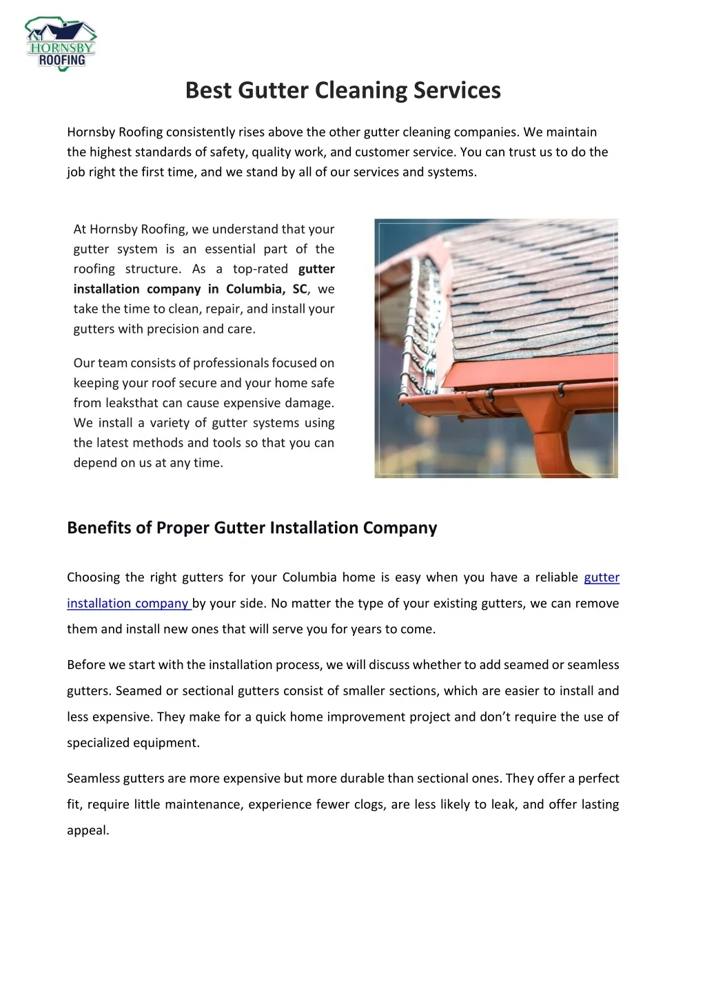 PPT Best Gutter Cleaning Services PowerPoint Presentation, free