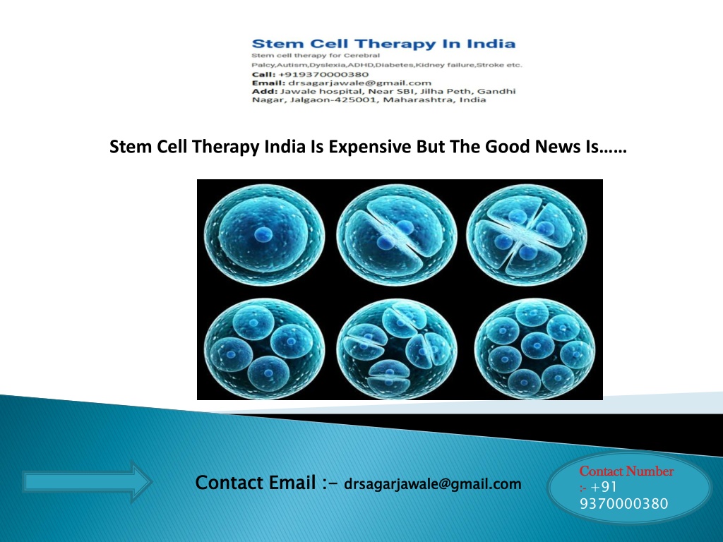 PPT - Stem Cell Therapy-Treatment India PowerPoint Presentation, Free ...