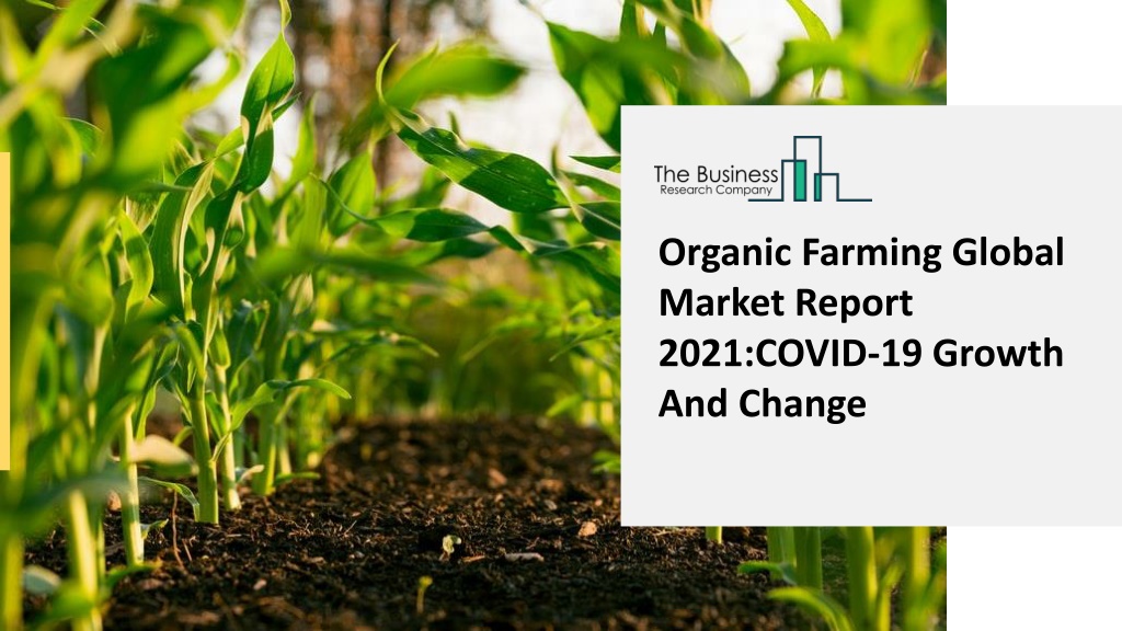 PPT - Global Organic Farming Market Forecast to 2030 | Growth and ...