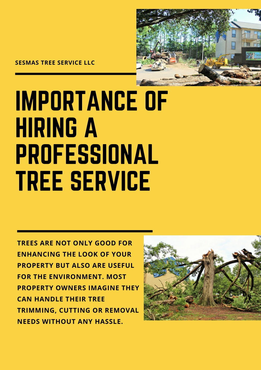 PPT - Importance of hiring a professional tree service PowerPoint  Presentation - ID:11024161