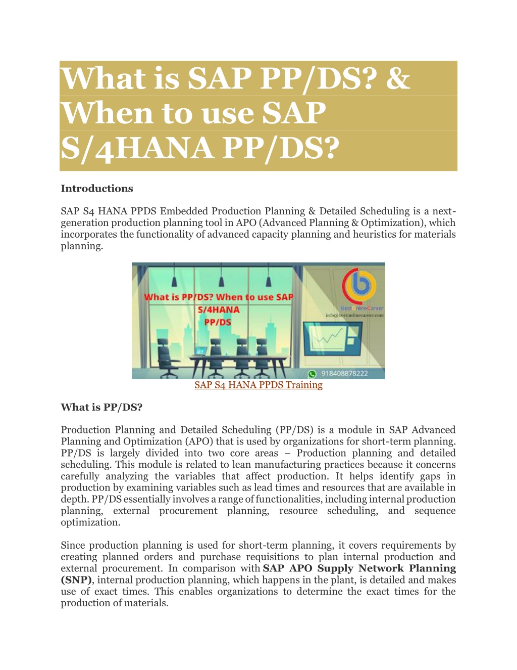 What Is Sap Ppds