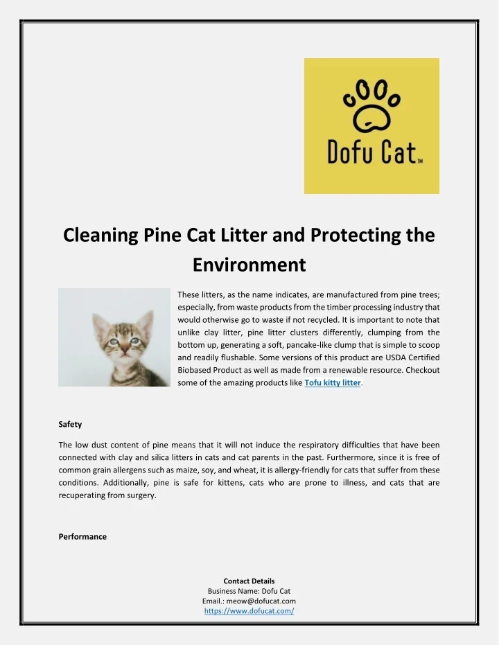 PPT Cleaning Pine Cat Litter and Protecting the Environment