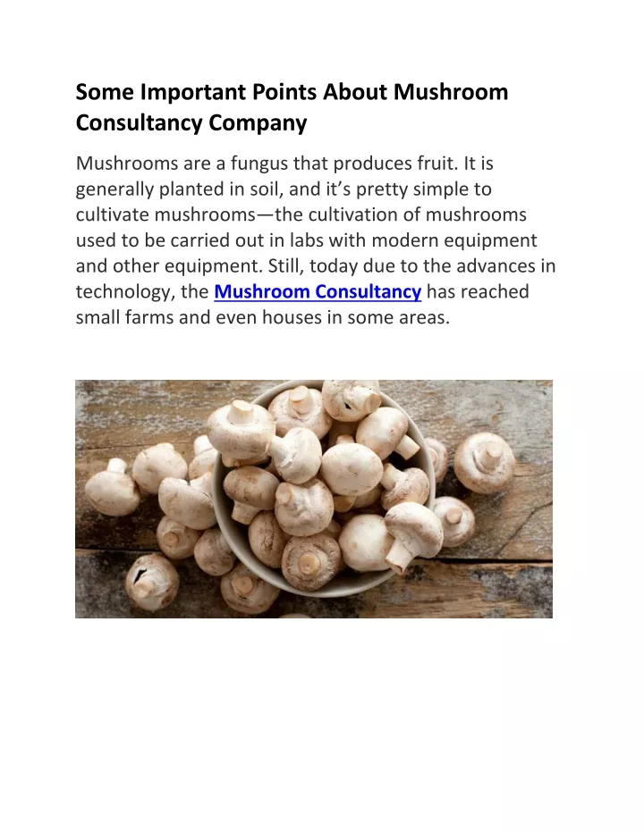 PPT - Benefit of a Mushroom Consultancy PowerPoint Presentation, free ...