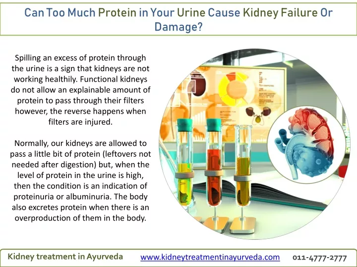 Protein in Urine and Kidney Failure