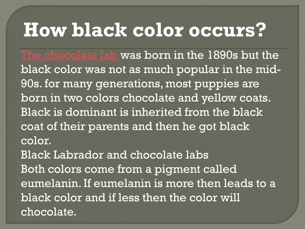 PPT How black color occurs_Three Bears Labradors PowerPoint