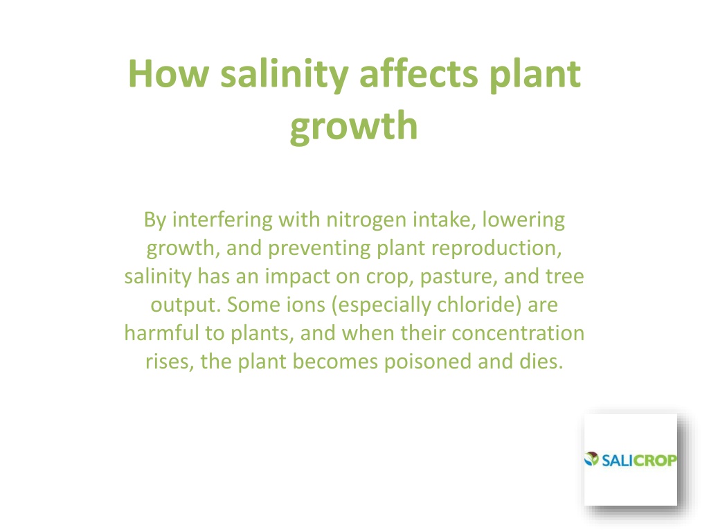 PPT - What is salinity stress in plants How it impacts the soil ...