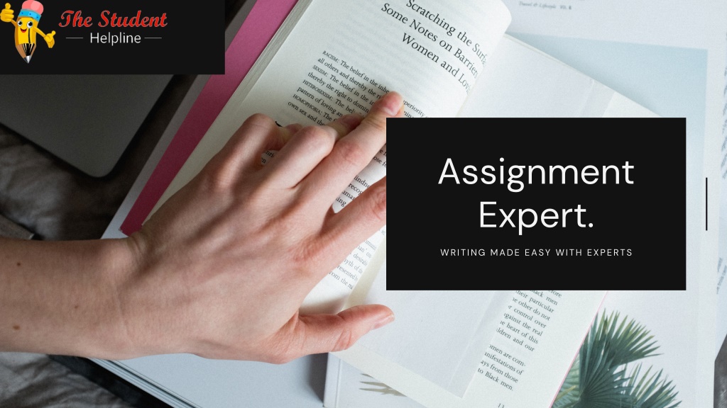 assignment expert english