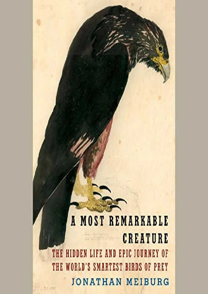 PPT [PDF] Download A Most Remarkable Creature The Hidden Life