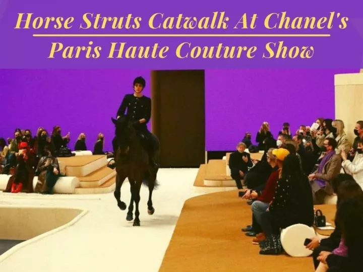 horse struts catwalk at chanel s paris haute couture show n.