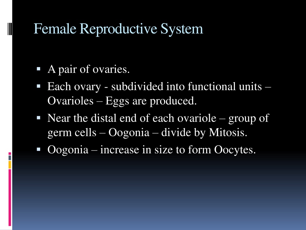 PPT - Reproductive System of Insects PowerPoint Presentation, free ...