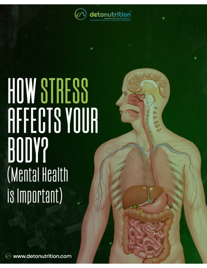 PPT - How Stress Affects Your Body - Detonutrition PowerPoint ...