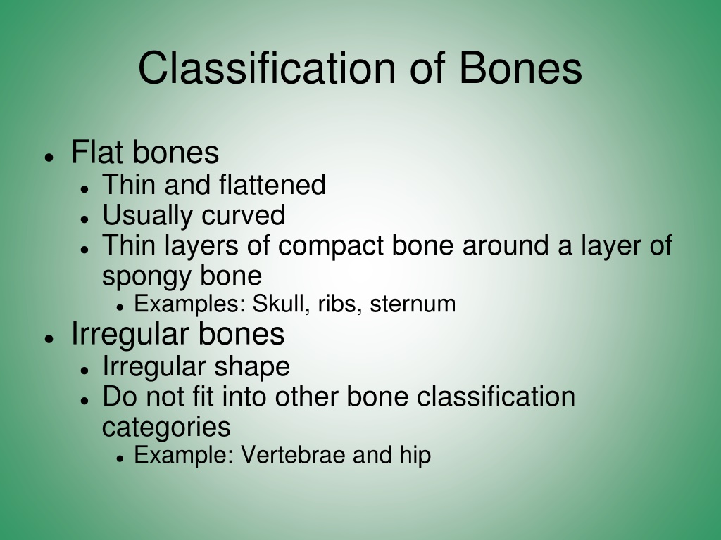 PPT - (Full) Skeletal System Notes PowerPoint Presentation, free ...