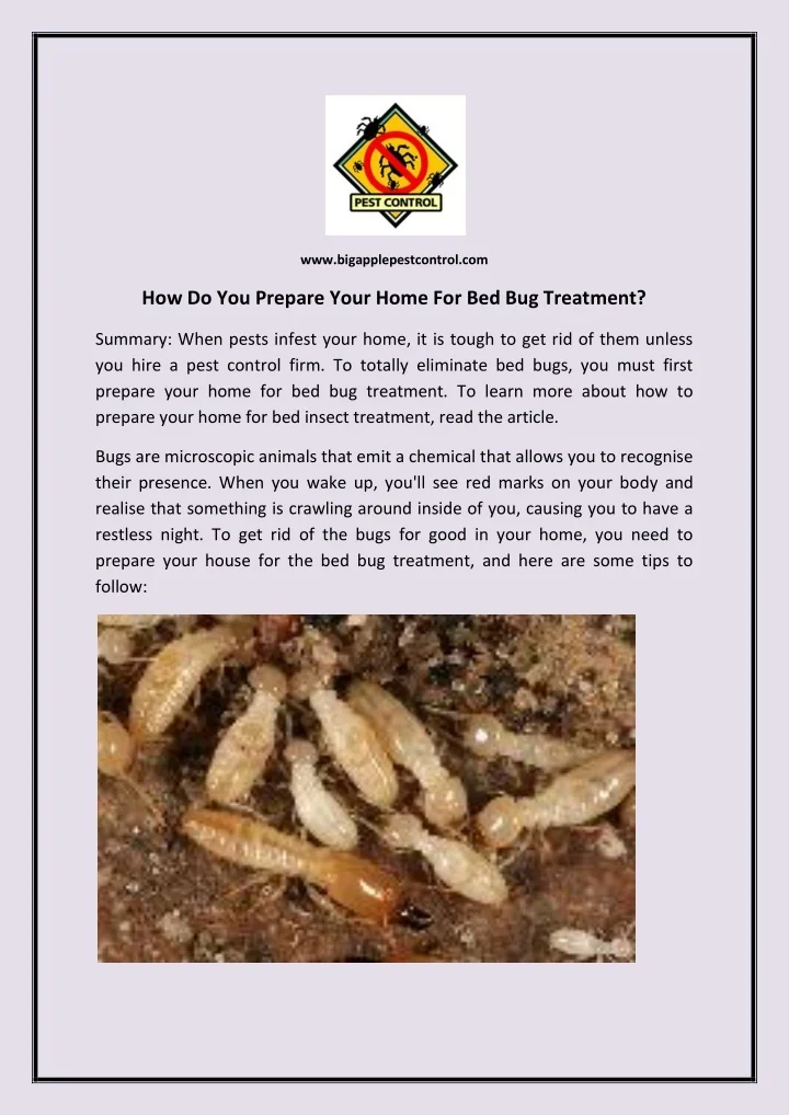 PPT How Do You Prepare Your Home For Bed Bug Treatment PowerPoint