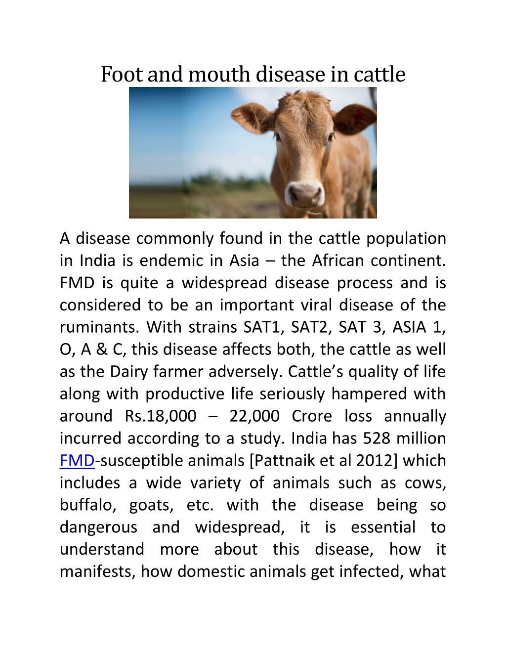 PPT - Foot and mouth disease in cattle PowerPoint Presentation, free ...