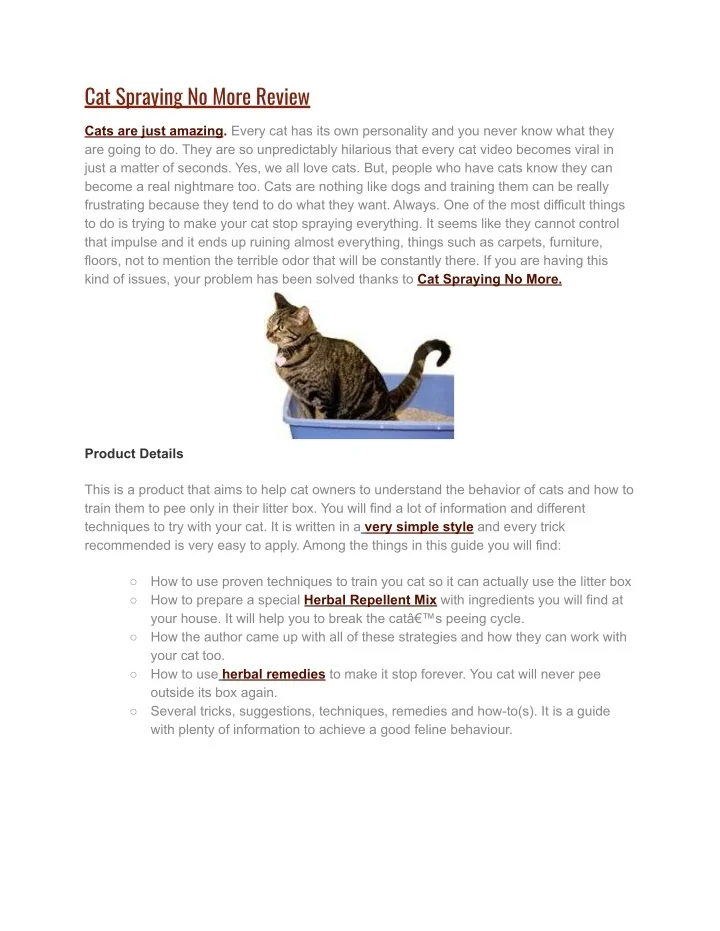 PPT Cat Spraying No More Review PowerPoint Presentation, free