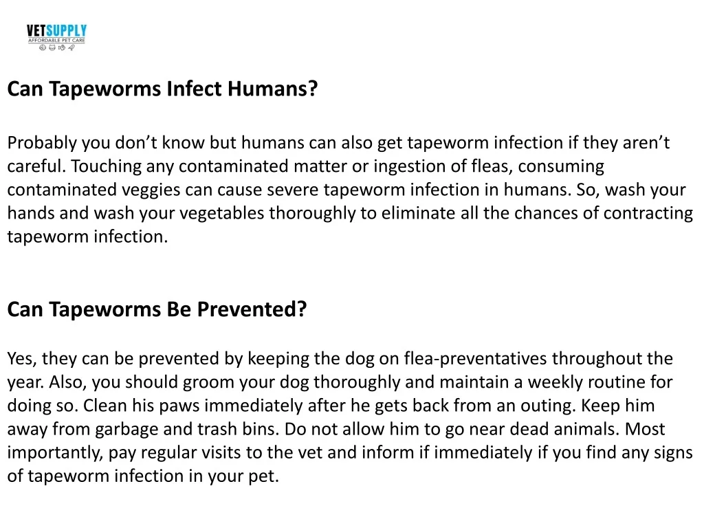 PPT Tapeworms In Dogs Causes, Symptoms And Treatment VetSupply
