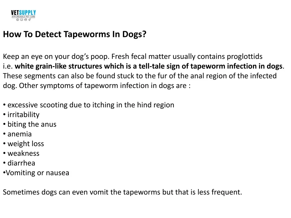 PPT Tapeworms In Dogs Causes, Symptoms And Treatment VetSupply