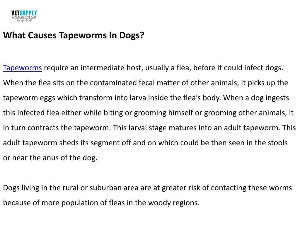PPT Tapeworms In Dogs Causes, Symptoms And Treatment VetSupply PowerPoint Presentation ID