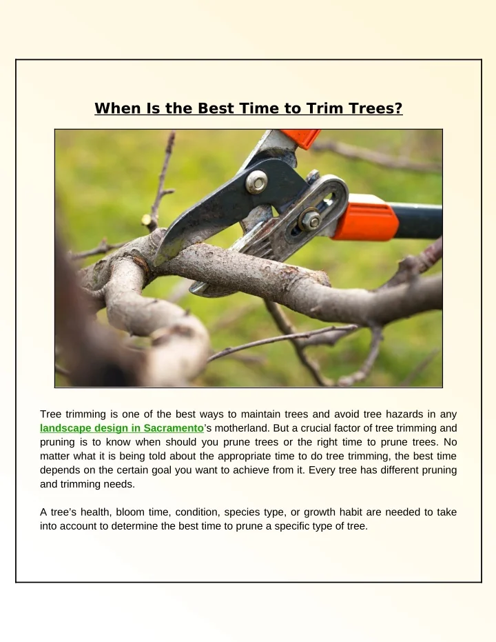 PPT - When Is the Best Time to Get Your Trees Trimmed? PowerPoint ...