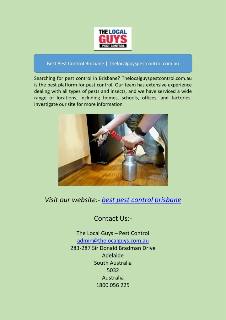 PPT best pest control brisbaneBest Pest Control Brisbane