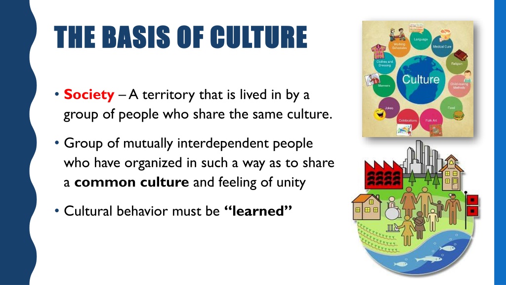 what is the basis of culture in sociology