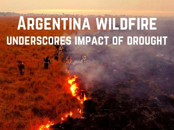 argentina wildfire underscores impact of drought n.