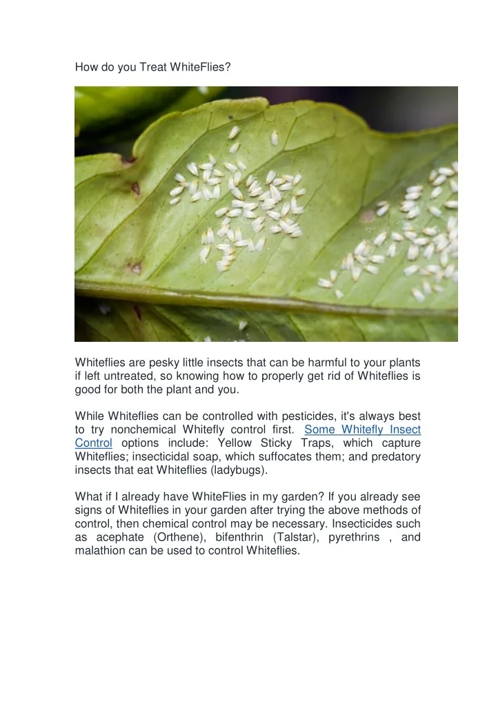 PPT How do you Treat WhiteFlies PowerPoint Presentation, free