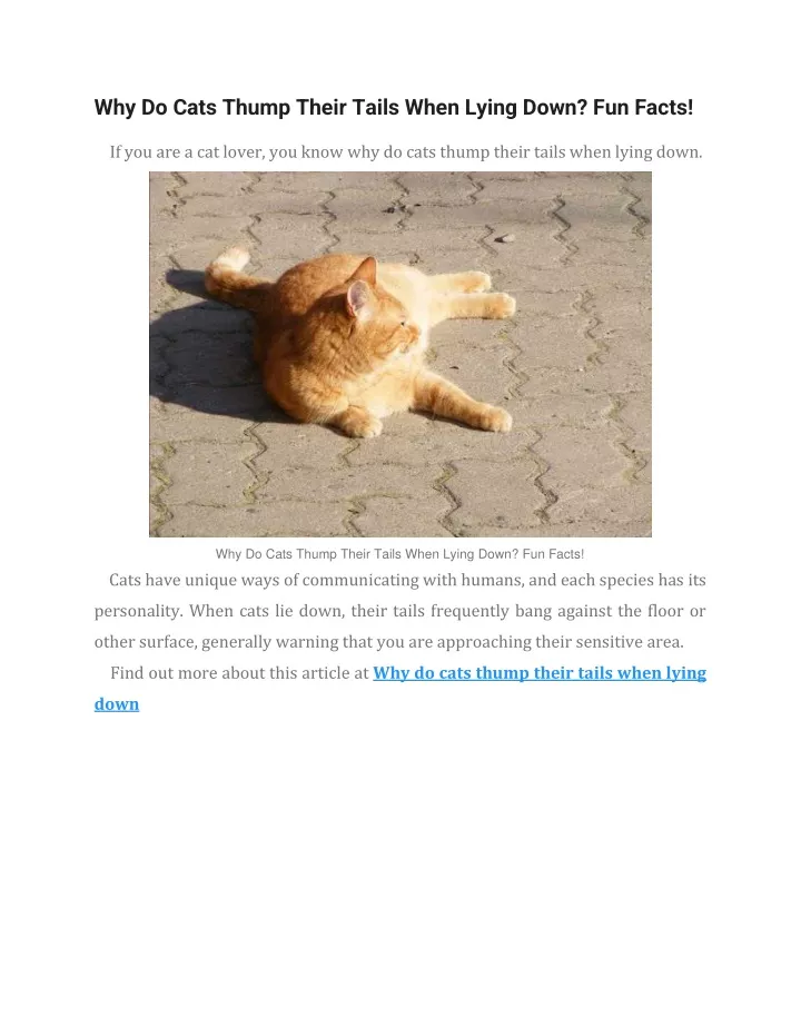 why-do-cats-thump-their-tails-when-lying-down-catwiki