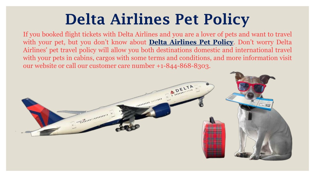 PPT Delta Airlines Pet Policy PowerPoint Presentation, free download