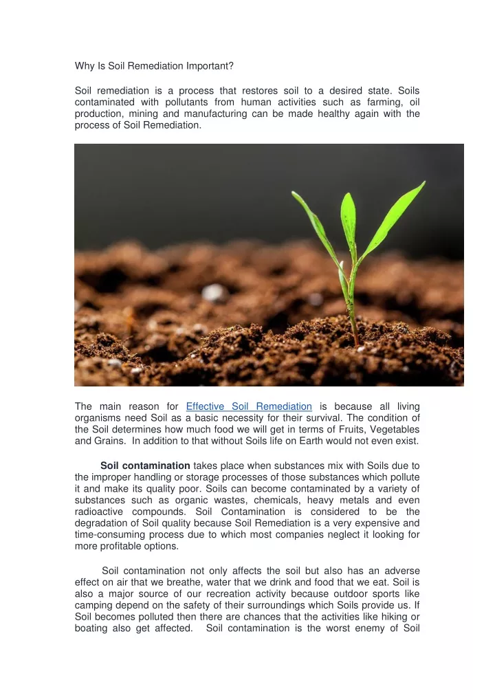 Why Is Soil Remediation Important