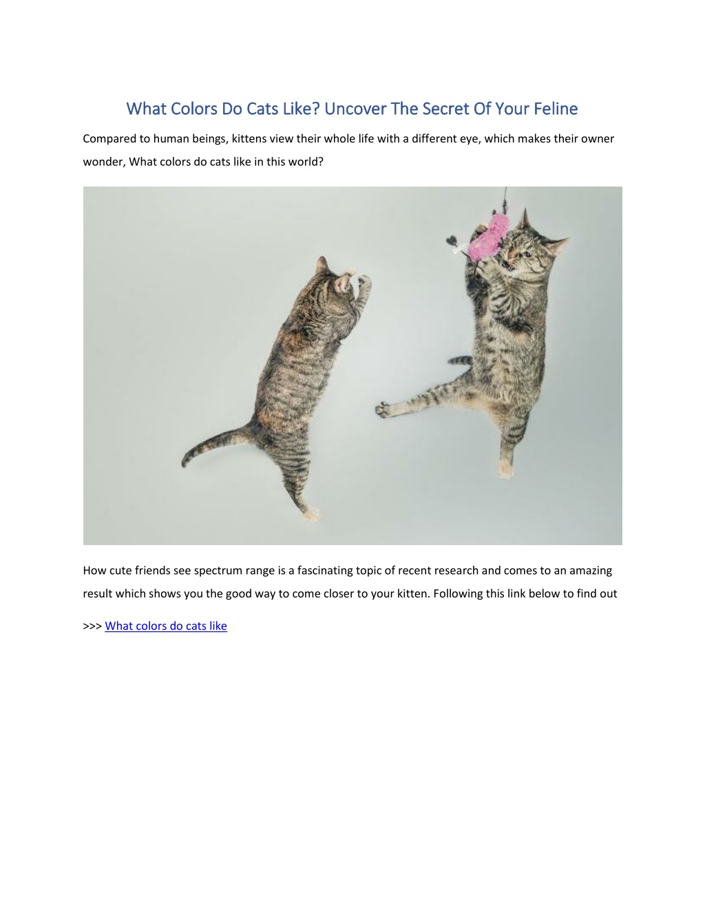 PPT What Colors Do Cats Like PowerPoint Presentation, free download ID11184765