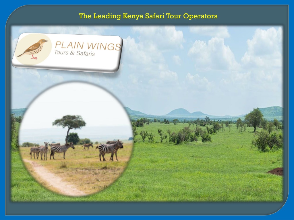 safari tour operators kenya