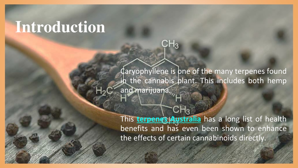 Ppt Beta Caryophyllene Terpenes Benefits You Should Be Getting Powerpoint Presentation Id 6582